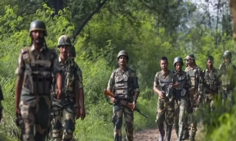 गरियाबंद में 9 नक्सलियों ने किया आत्मसमर्पण, धमतरी-गरियाबंद से AK-47 सहित हथियार जब्त