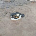 रायपुर में रहस्यमयी घटना, अस्थि-संग्रह के दौरान शव का सिर गायब