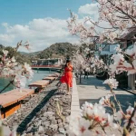 जल्दबाजी नहीं, सुकून की तलाश: जानिए क्यों बढ़ रहा है लंबी और ठहरने वाली ट्रिप्स का क्रेज