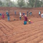 ‘मोर गांव मोर पानी’ महाअभियान के तहत मनरेगा ग्रामीणों ने की ऐतिहासिक पहल