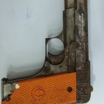 पिस्टल के साथ आरोपी नंदू शर्मा गिरफ्तार, कब्जे से 01 नग पिस्टल और खाली मैग्जीन किया जप्त