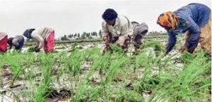 मंत्री टंकराम वर्मा ने मुआवजे से जुड़े मुद्दों पर जताया कार्रवाई का भरोसा, किसानों को जमीन मुआवजा देने की घोषणा की