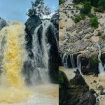 ओडिशा के घने जंगलों के बीच छिपा गुंडिचा घाघी वॉटरफॉल प्रकृति और आस्था का अनोखा संगम