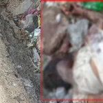 राजधानी में एक बार फिर महिला की हत्या का मामला आया सामने, सिर और चेहरे पर वार कर बेरहमी से की गई हत्या