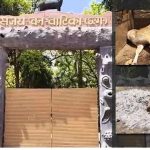 लापरवाही उजागर: कुत्तों के हमले में 15 हिरणों की मौत, शव जलाकर छिपाने की कोशिश