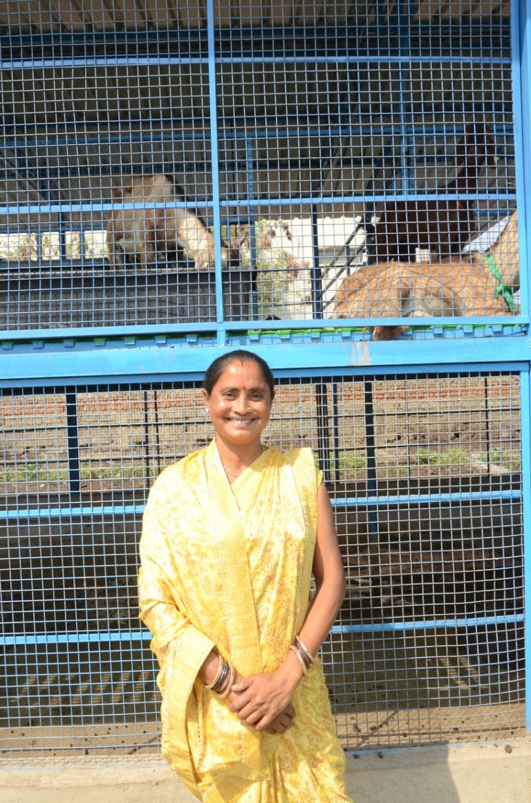 बिहान समूह से बदली चंपा माडले की जिंदगी, गृहणी से बनीं लखपति दीदी