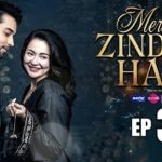 मेरी ज़िंदगी है तू का 32 एपिसोड क्यों नहीं किया गया रीलीज़, जाने क्या है कारन