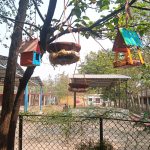 विद्यार्थियों ने पक्षियों के लिए बनाए घोंसले, संवेदनशील शिक्षा का दिया संदेश