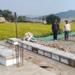 मधुमक्खी पालन: कम लागत में ज्यादा मुनाफे का बेहतर विकल्प, राष्ट्रीय बागवानी मिशन की मदद से किसान रच रहे कामयाबी की नई इबारत