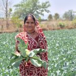 बदली किस्मत, बढ़ा मान: साय सरकार की पहल से हमेश्वरी राठौर बनीं ‘लखपति दीदी’