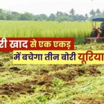 हरी खाद- खेती में बढ़ेगा उत्पादन, मिट्टी की सेहत होगी बेहतर