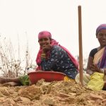 सुरक्षा, सम्मान और स्वावलंबन: छत्तीसगढ़ की महिला श्रमिकों के बढ़ते कदम, बदलती पहचान