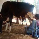 सपनों को मिली उड़ान: बिहान मिशन ने बदली गुंजवती की तकदीर, बनीं “लखपति दीदी”