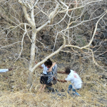 गोंदिया और जलगांव में सड़क हादसे: ट्रेलर की टक्कर में चालक की मौत, कार पेड़ से टकराकर बचे चार लोग