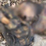 जंगल में मिला सड़ा-गला शव, जिले में मचा हड़कंप,जांच में जुटी पुलिस