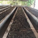 कवर्धा वन विकास निगम की बड़ी सफलता: वर्मी कंपोस्ट उत्पादन बनी आत्मनिर्भरता की मिसाल