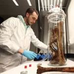 ब्रेड खाने के शौकीन हो जाएं सतर्क: रिसर्च में सामने आई चौंकाने वाली बात