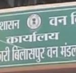 वनरक्षक ने वनपाल पर लगाए गंभीर आरोप, जांच के आदेश