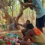 माटी तिहार: किसानों ने नमन की धरती माता, समृद्धि के लिए की पूजा-अर्चना