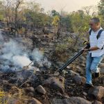 जंगल बचाने मैदान में उतरे DFO, ‘फॉग मशीन मॉडल’ से तेजी से घटे फायर केस