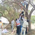 घरेलू विवाद के बाद कुक ने लगाई फांसी, सुबह पेड़ पर मिला शव