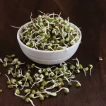 अपनी लाइफस्टाइल में शामिल करें स्प्राउट्स, जाने खाने के सही तरीके और फायदे