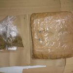 ओशियन ग्रो गांजा केस में पुलिस की कार्रवाई तेज, दूसरा आरोपी भी पकड़ा गया