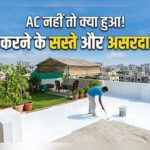 गर्मी और तेज धूप में घर की छत बन जाती है भट्टी, तो इन आसान तरीकों से पाएं राहत और घर को रखें ठंडा …