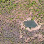 फायर-वॉटर मॉडल से सुरक्षित जंगल! छत्तीसगढ़ टाइगर रिजर्व की बड़ी उपलब्धि