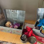 रात के अंधेरे में बड़ी वारदात, घर से 20 लाख के जेवर-नकदी पार, गांव में दहशत