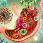 Good Gut Bacteria पाचन और मांसपेशियों के स्वास्थ्य को बढ़ाते हैं