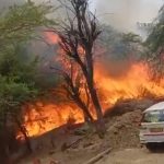 नूंह में आग का तांडव! भूसा राख, भैंस की मौत, खड़ी अर्टिगा कार भी जलकर खाक