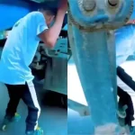 फिल्मी स्टंट पड़ा भारी: ट्रक के डाले में रील बनाना पड़ा महंगा, मौत ने दी दस्तक