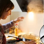 भीषण गर्मी में भी खाने को रखें ताज़ा: स्मार्ट और आसान तरीके