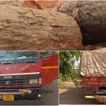 वन विभाग पर गंभीर सवाल: कोंडागांव में लकड़ी तस्करी की गाड़ी पकड़ी, फिर भी छोड़ने का आदेश