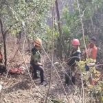 भीषण सड़क हादसा: 800 फीट गहरी खाई में गिरी अनियंत्रित स्कॉर्पियो, 8 दोस्तों की दर्दनाक मौत
