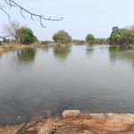 नहरों से सूखते तालाबों में जलभराव : भीषण गर्मी से बड़ी राहत, ’4755 तालाब हुए लबालब’