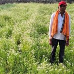 राष्ट्रीय बागवानी मिशन अंतर्गत धनिया की खेती से किसान रतिराम की बढ़ी आय
