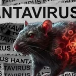 क्या फाइजर वैक्सीन से होता है हंटावायरस? जानें सोशल मीडिया पर वायरल दावे का पूरा सच