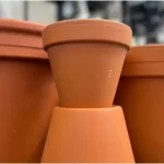 इको-फ्रेंडली गार्डनिंग: अपने बगीचे से आज ही निकालें प्लास्टिक, अपनाएं ये 5 जादुई विकल्प