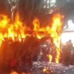 पटना में वट सावित्री पूजा पर बड़ा हादसा टला: पूजा के दौरान प्राचीन बरगद के पेड़ में लगी भीषण आग, मची अफरा-तफरी