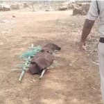 जंगल में युवक की लाश मिलने से सनसनी, दो दिन से लापता था युवक, जांच में जुटी पुलिस