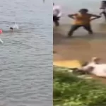 झोराघाट पिकनिक बना मातम: गहरे पानी में डूबने से 17 वर्षीय युवक की मौत, परिवार में पसरा सन्नाटा