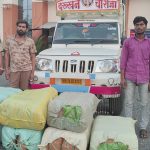 अवैध कारोबार पर बड़ी चोट: 1.14 करोड़ का गांजा जब्त, सब्जी के कैरेट में छिपाकर हो रही थी तस्करी, दो आरोपी गिरफ्तार