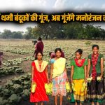 बंदूकों की खामोशी, विकास की गूंज: गोगुण्डा में ‘हरा सोना’ खरीदी शुरू, अब गीतों से सजेंगे गांव