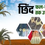 बस्तर की नई वैश्विक पहचान : जंगलों में फेंके जाने वाले छिंद के बीजों से तैयार हुई अनोखी हर्बल कॉफी