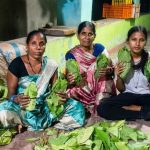’हरा सोना’ बना समृद्धि का आधार; तेंदूपत्ता खरीदी की बढ़ी दर, जंगलों की हरियाली और शासन की दूरदर्शी पहल ने खोली समृद्धि की राह