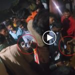 न्यायधानी में अवैध शराब बिक्री का खुलासा! चखना सेंटर से खुलेआम बिक रही देशी शराब, वीडियो वायरल