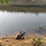 नहर में तैरती मिली दो दिन से लापता बुजुर्ग की लाश, हत्या या खुदकुशी की गुत्थी में उलझी पुलिस