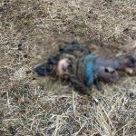 खेत में मिली लापता महिला की लाश: 4 दिन बाद मिला सड़ा-गला शव, इलाके में फैली दहशत